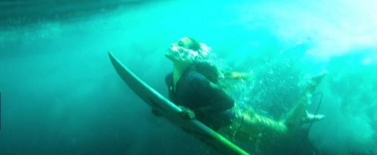 theshallows-blakelively-00551.jpg