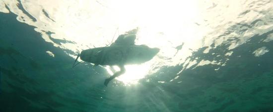 theshallows-blakelively-01194.jpg