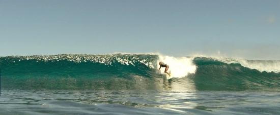 theshallows-blakelively-01310.jpg