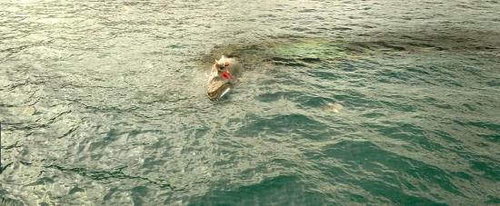 theshallows-blakelively-01543.jpg