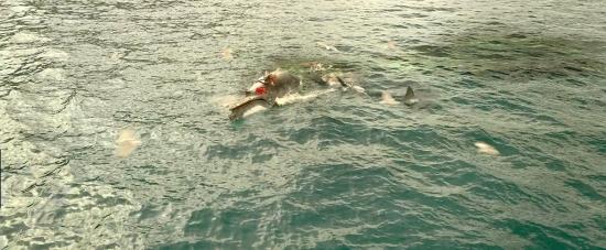 theshallows-blakelively-01567.jpg