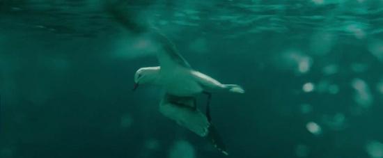 theshallows-blakelively-01609.jpg