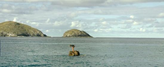 theshallows-blakelively-01684.jpg