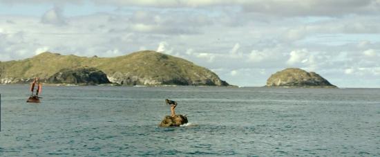 theshallows-blakelively-01686.jpg
