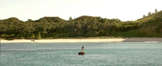 theshallows-blakelively-01704.jpg