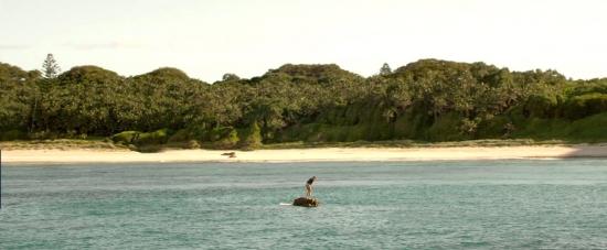 theshallows-blakelively-01706.jpg