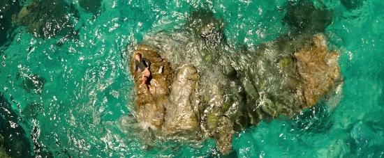 Click to view full size image
==============
theshallows-blakelively-01723.jpg theshallows-blakelively-01723.jpg