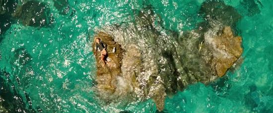 theshallows-blakelively-01725.jpg