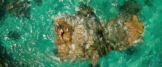 Click to view full size image
==============
theshallows-blakelively-01726.jpg theshallows-blakelively-01726.jpg