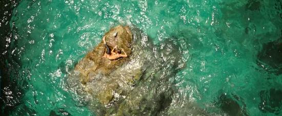 theshallows-blakelively-01984.jpg