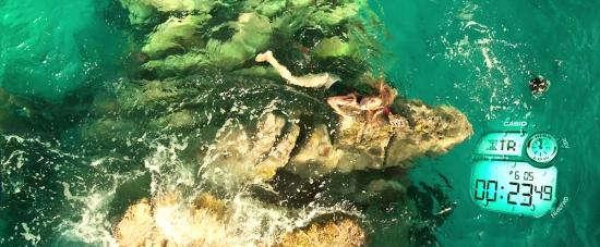 theshallows-blakelively-03331.jpg