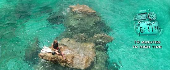 theshallows-blakelively-03489.jpg