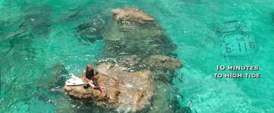theshallows-blakelively-03491.jpg