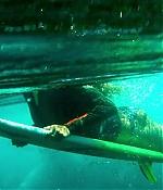 theshallows-blakelively-00553.jpg