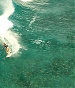 theshallows-blakelively-00777.jpg