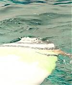 theshallows-blakelively-00781.jpg