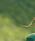 theshallows-blakelively-00841.jpg
