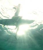 theshallows-blakelively-01191.jpg