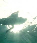 theshallows-blakelively-01194.jpg