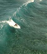 theshallows-blakelively-01306.jpg