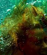 theshallows-blakelively-01368.jpg