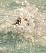 theshallows-blakelively-01405.jpg