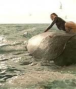theshallows-blakelively-01430.jpg