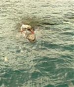 theshallows-blakelively-01540.jpg
