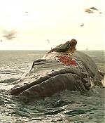 theshallows-blakelively-01561.jpg