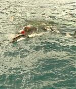 theshallows-blakelively-01567.jpg