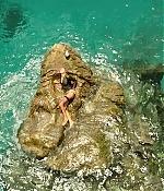 theshallows-blakelively-01637.jpg