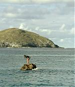 theshallows-blakelively-01686.jpg