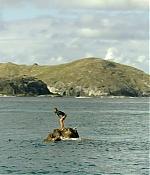 theshallows-blakelively-01687.jpg
