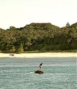 theshallows-blakelively-01706.jpg