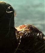 theshallows-blakelively-01718.jpg