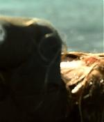theshallows-blakelively-01719.jpg