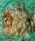 theshallows-blakelively-01724.jpg
