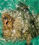 theshallows-blakelively-01726.jpg