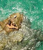 theshallows-blakelively-01982.jpg