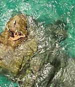 theshallows-blakelively-01985.jpg