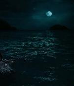 theshallows-blakelively-02029.jpg