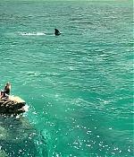 theshallows-blakelively-03209.jpg