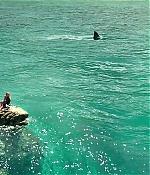 theshallows-blakelively-03211.jpg