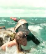 theshallows-blakelively-03266.jpg
