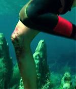 theshallows-blakelively-03324.jpg