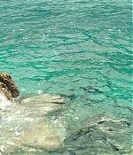 theshallows-blakelively-03399.jpg