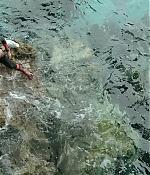 theshallows-blakelively-03727.jpg