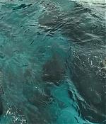 theshallows-blakelively-03814.jpg