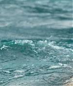 theshallows-blakelively-03846.jpg
