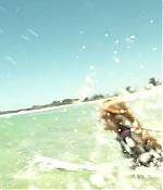 theshallows-blakelively-04841.jpg